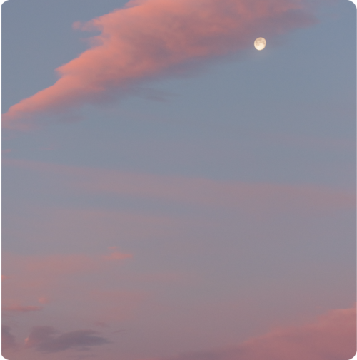 250923_Manotsav_Website_Assets-14 - Copy